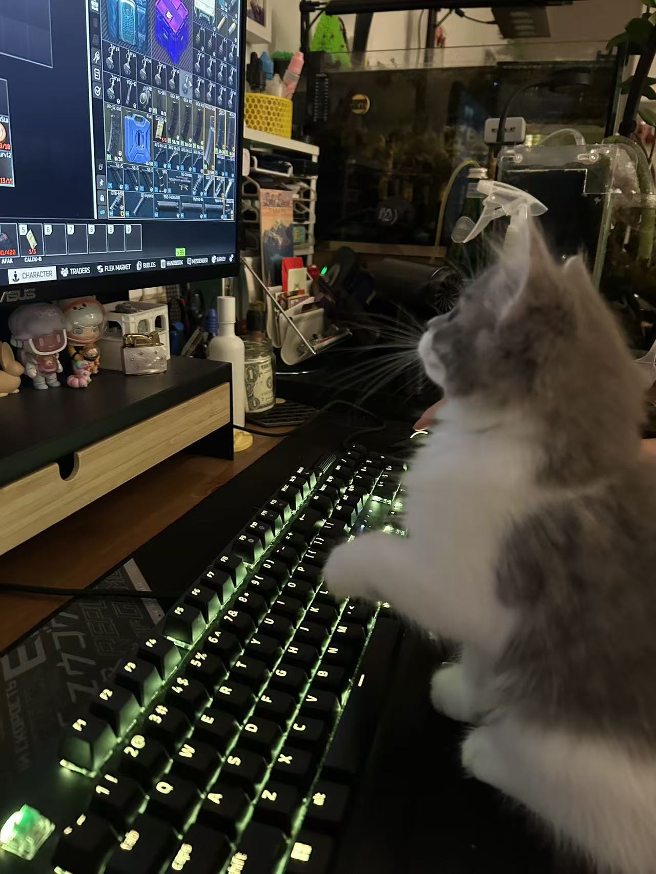 One of our own cats supervising work at the keyboard
